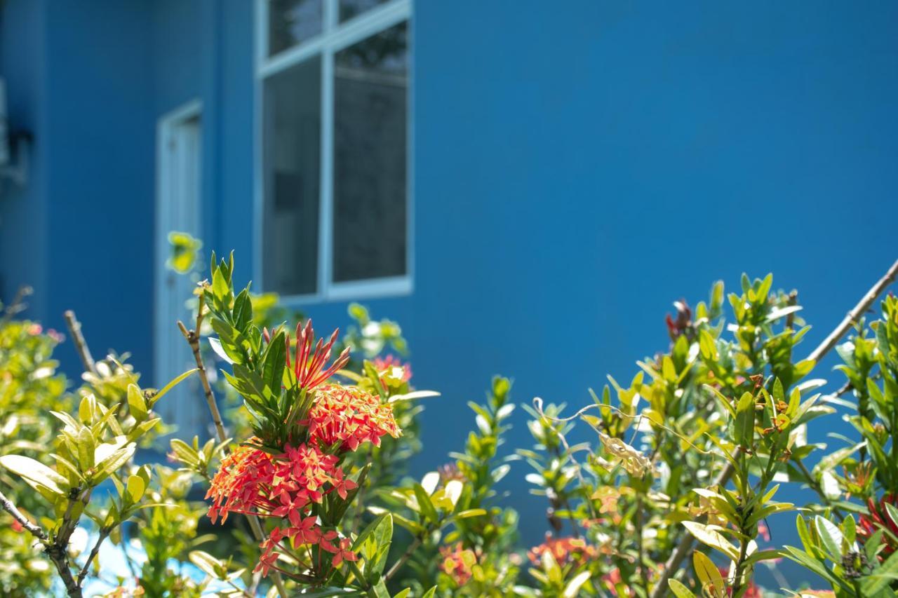 MAHALO HOUSE B&B - Tu Casa Hospedaje en San Andrés Isla - Exterior foto